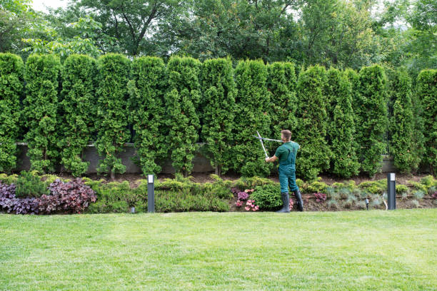 Lawn Irrigation Installation and Maintenance in Garden City, NY