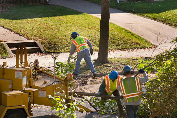 Best Tree Risk Assessment  in Garden City, NY